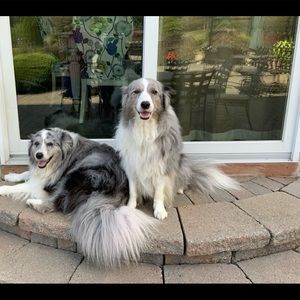 Meet your Posher, Meghan